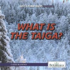 What Is the Taiga?