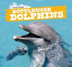 Bottlenose Dolphins