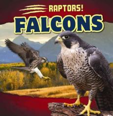 Falcons