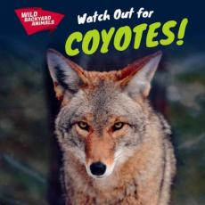 Watch Out for Coyotes!