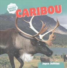 Caribou