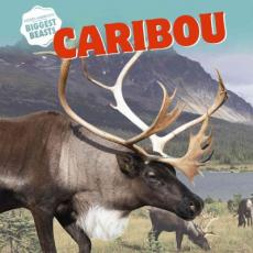 Caribou