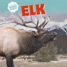 Elk