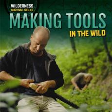 Making Tools in the Wild