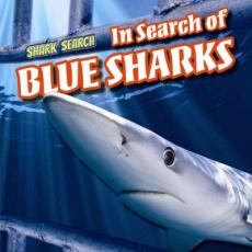 In Search of Blue Sharks