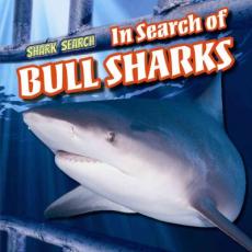 In Search of Bull Sharks