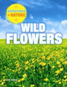 Wild Flowers