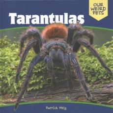 Tarantulas