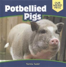 Potbellied Pigs