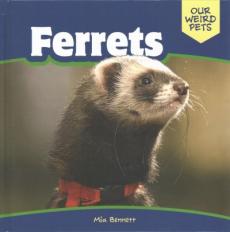 Ferrets