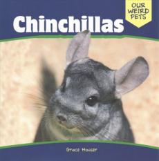 Chinchillas