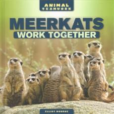 Meerkats Work Together