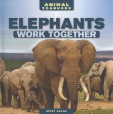 Elephants Work Together