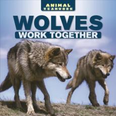 Wolves Work Together