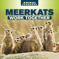 Meerkats Work Together