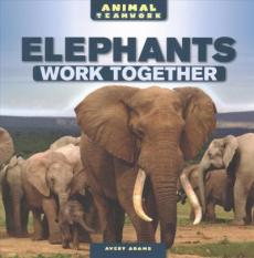 Elephants Work Together