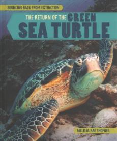 The Return of the Green Sea Turtle