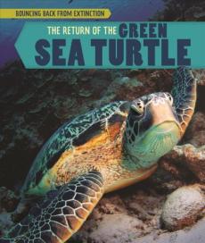 The Return of the Green Sea Turtle