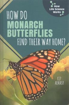 How Do Monarch Butterflies Find Their Way Home?