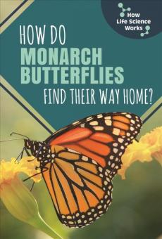 How Do Monarch Butterflies Find Their Way Home?