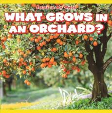 What Grows in an Orchard?