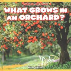 What Grows in an Orchard?