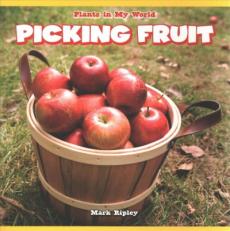 Picking Fruit