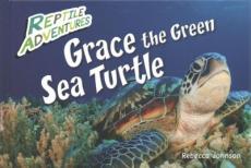 Grace the Green Sea Turtle