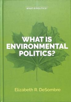 What is environmental politics?