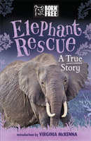 Born free elephant rescue