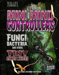 Mini Mind Controllers