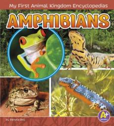 Amphibians