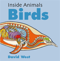 Inside animals: birds