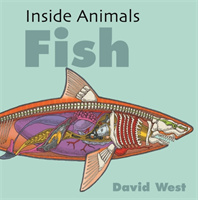 Inside animals: fish