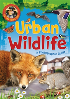 Nature detective: urban wildlife