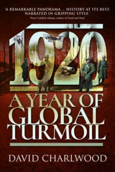 1920: a year of global turmoil