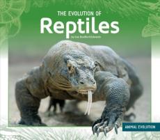 The Evolution of Reptiles