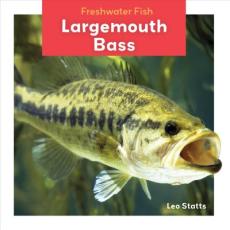 Largemouth Bass