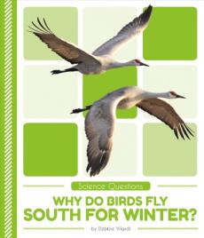 Why Do Birds Fly South for Winter?