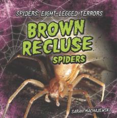 Brown Recluse Spiders