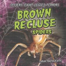 Brown Recluse Spiders