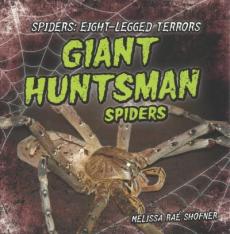 Giant Huntsman Spiders