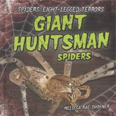 Giant Huntsman Spiders