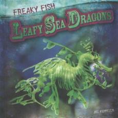 Leafy Sea Dragons