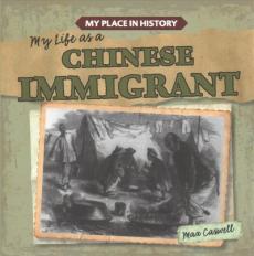 My Life as a Chinese Immigrant