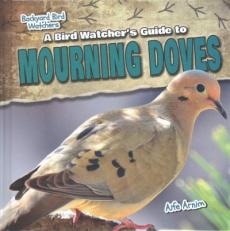 A Bird Watcher's Guide to Mourning Doves