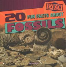 20 Fun Facts about Fossils