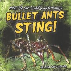 Bullet Ants Sting!