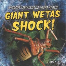 Giant Wetas Shock!