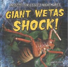 Giant Wetas Shock!